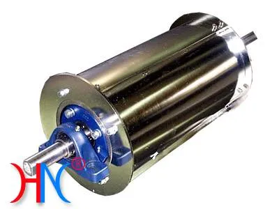 Máy tuyển từ con lăn