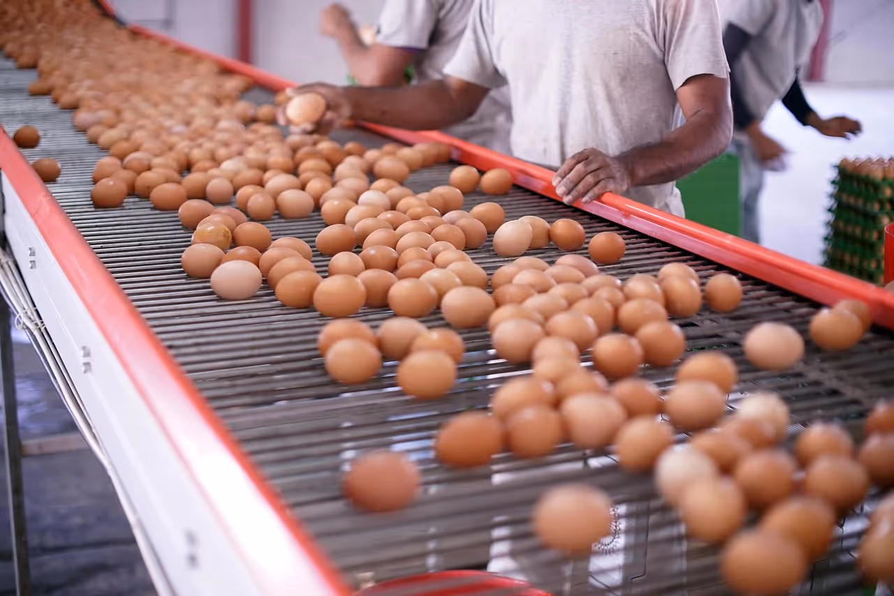 Nam châm treo trên băng tải công nghiệp