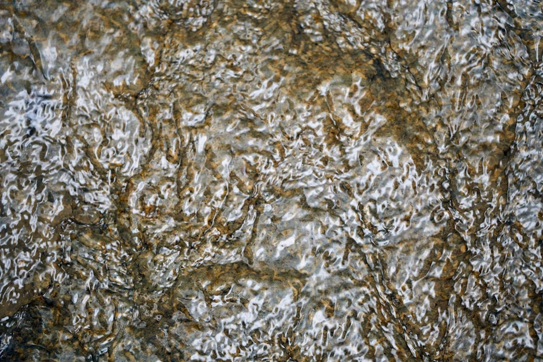 Sơ đồ nguyên lý bể ngược chiều quay CTN