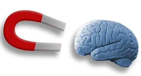 Kích thích từ xuyên sọ TMS - Dùng nam châm điều khiển não bộ